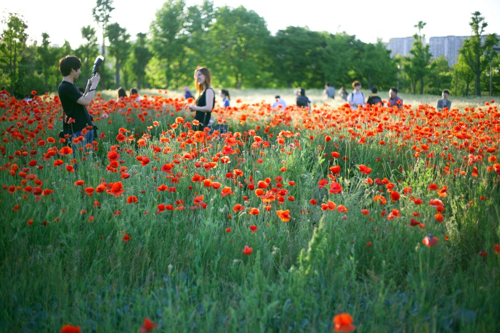 20150523-IMG_1787resized