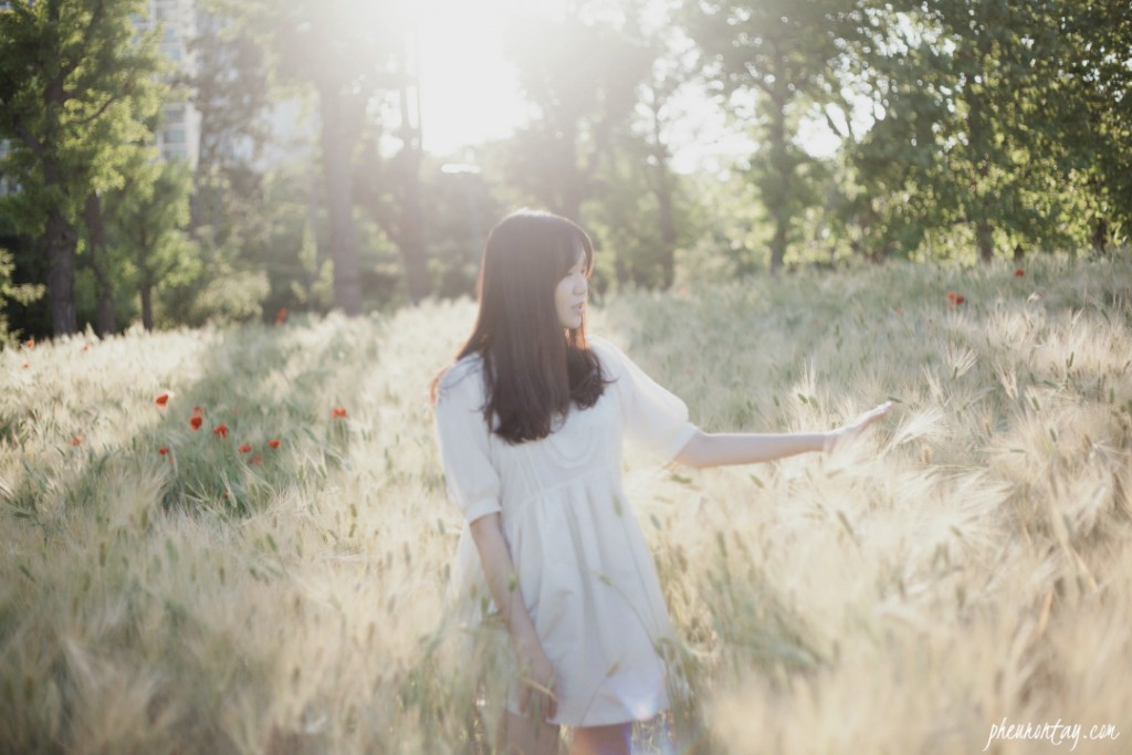 late spring bucheon sangdong lake park