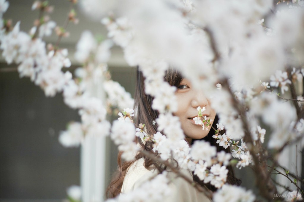 spring in changgyeonggung palace