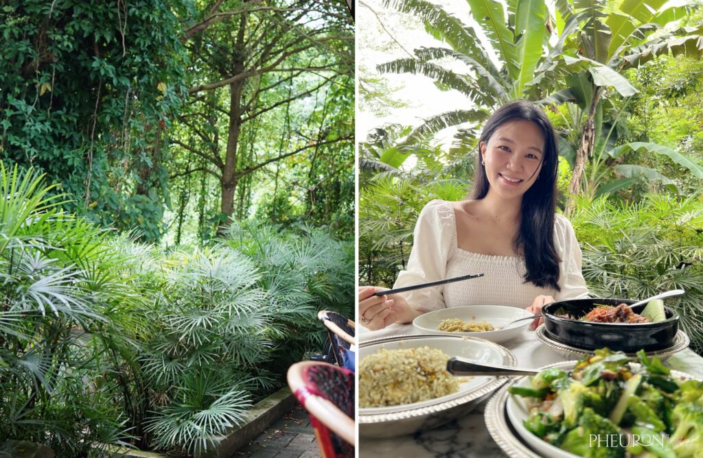 Chopsuey Cafe Review