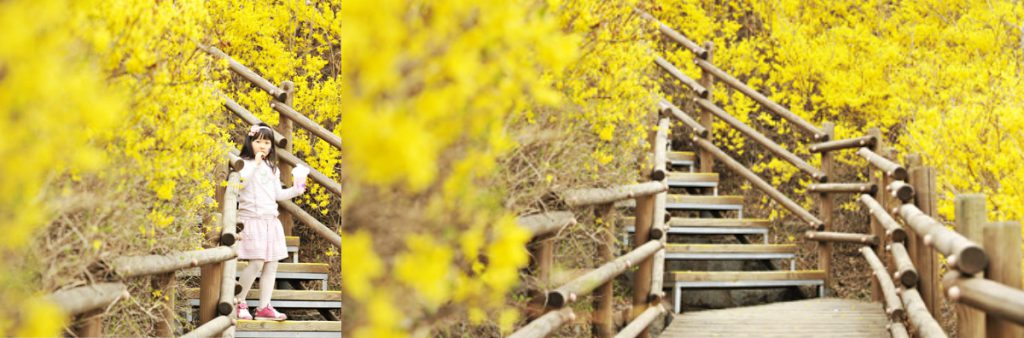 Korea Times photos by Shim Hyun-chul 