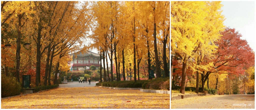 Photo by Siska Ariyanti. 2016 Autumn. Children's Grand Park. All Rights Reserved.