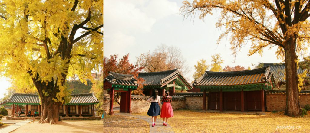 Photo by Siska Ariyanti. 2016 Autumn. Jeonju Hyanggyo. All Rights Reserved.