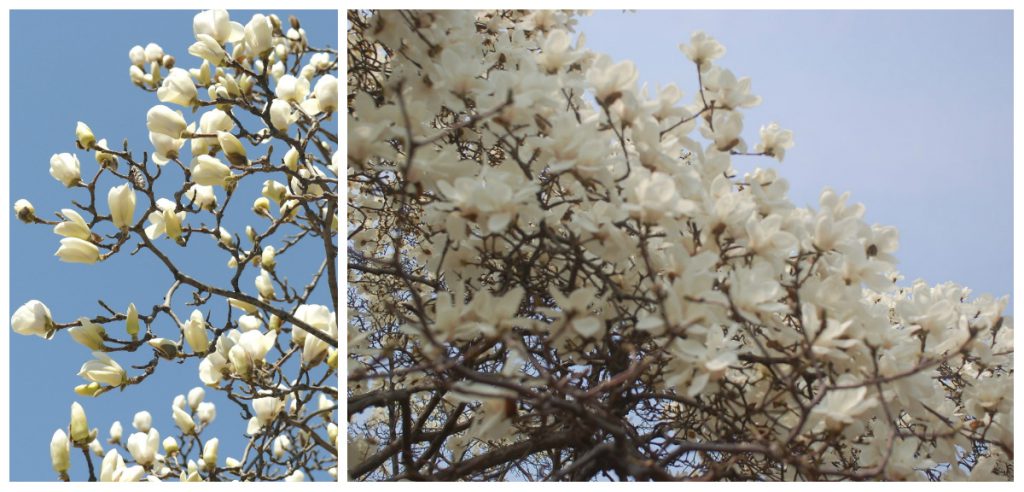 Photos from http://captainharok.tistory.com/