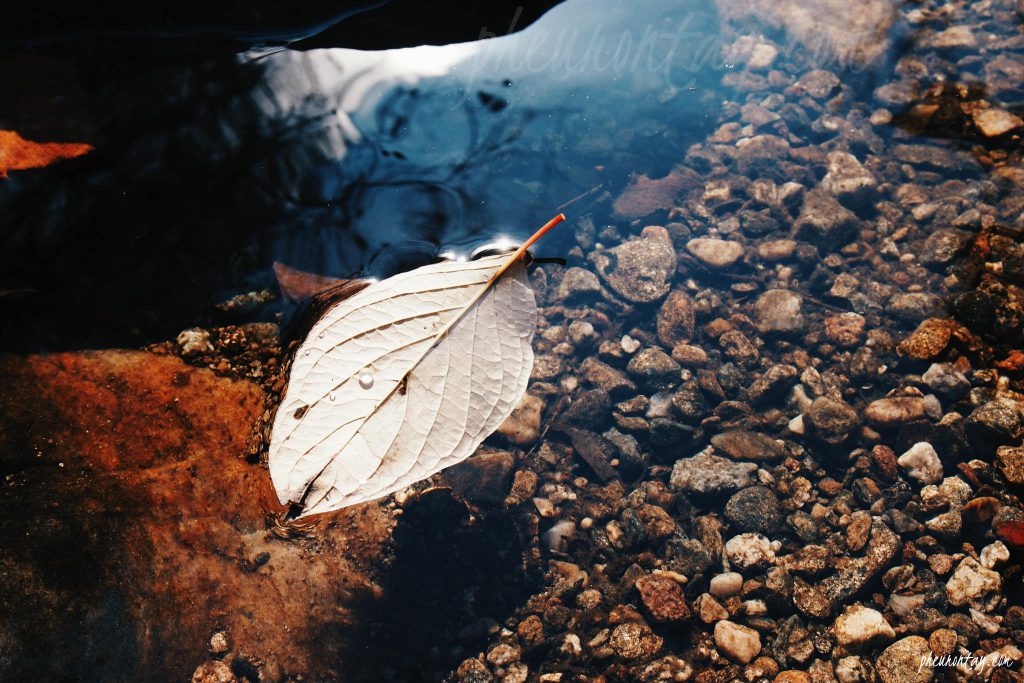 gapyeong, yoomyung mountain