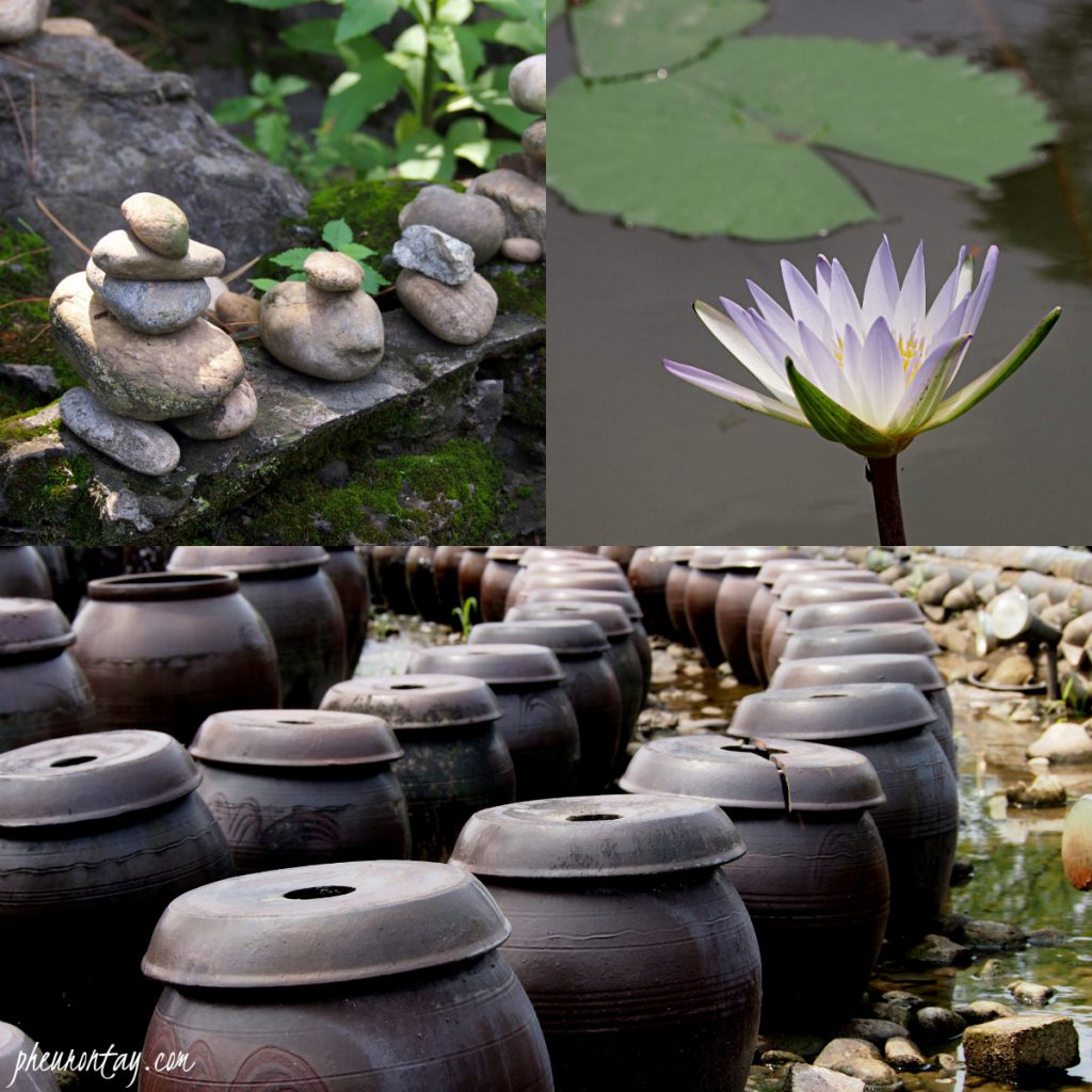 saemiwon lotus dumulmeori 