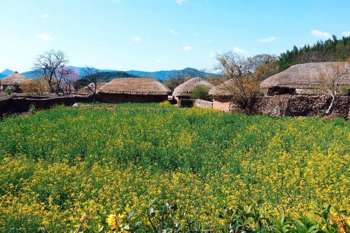 Spring at Naganeupseong, Suncheon