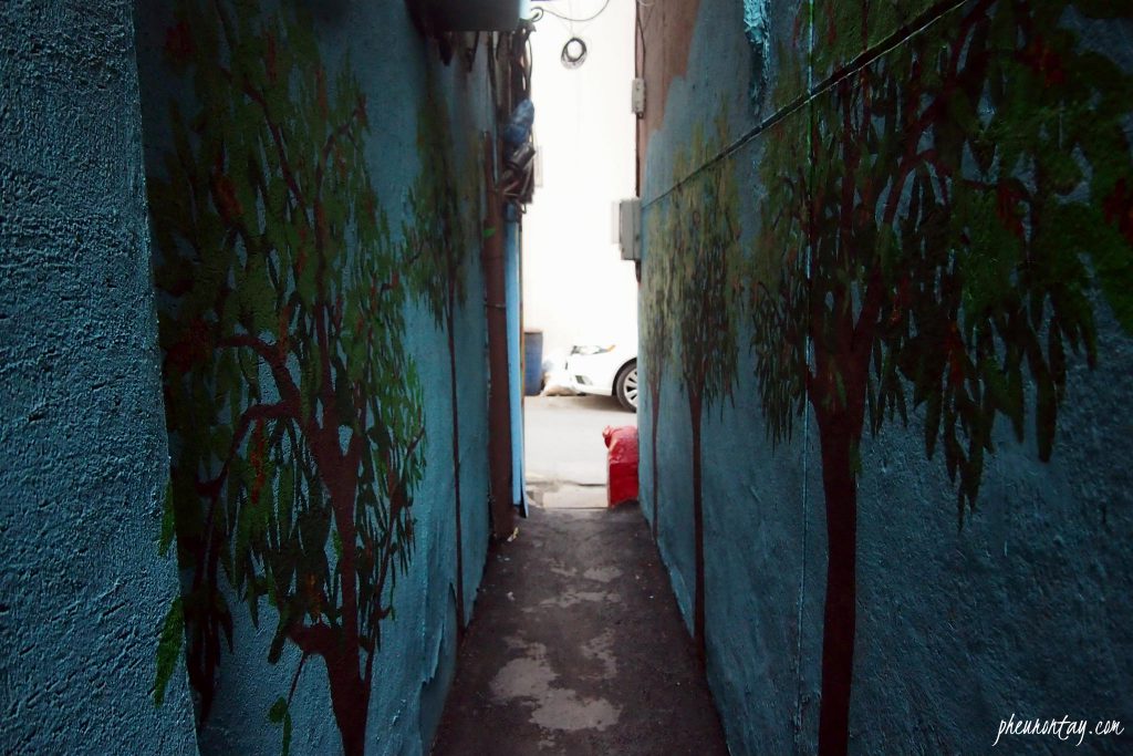 cafe hidden in alley of seoul 
