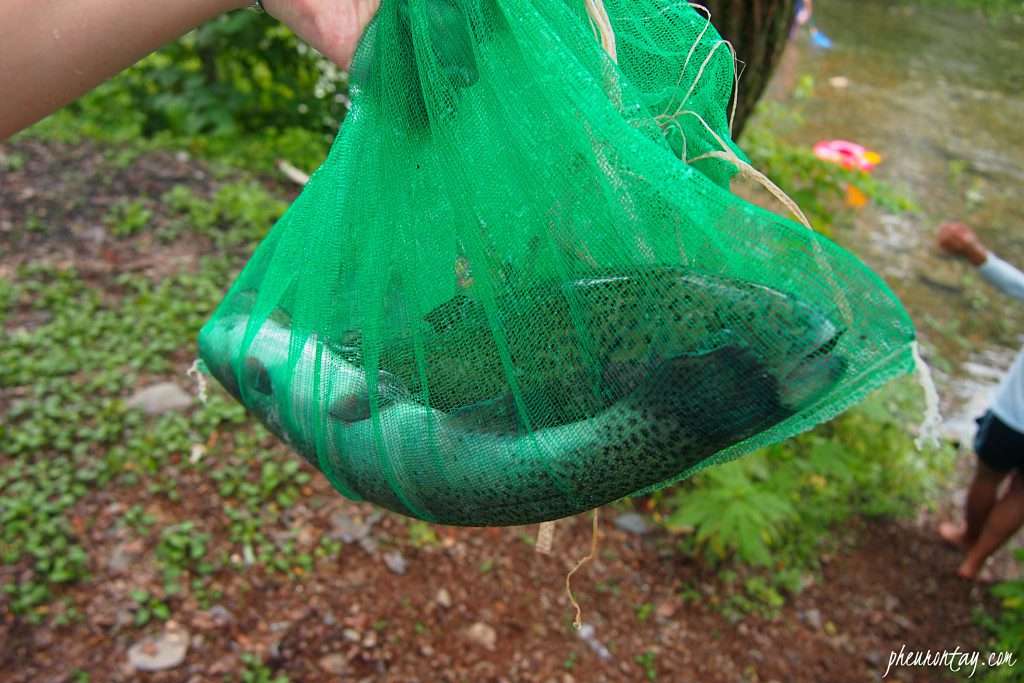 fishing trout farming tour korea