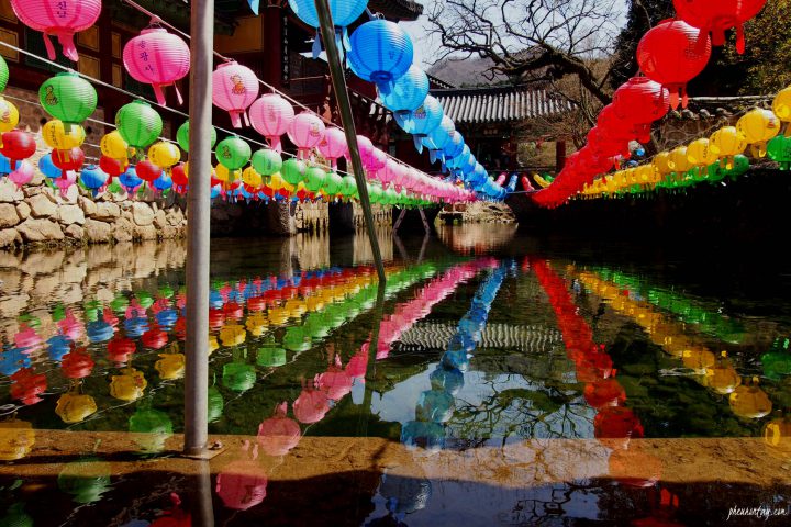 songgwangsa temple, suncheon