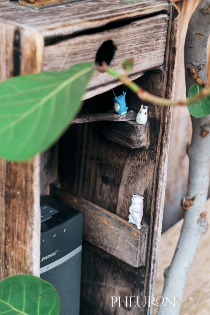 Summer Savage Coffee decor