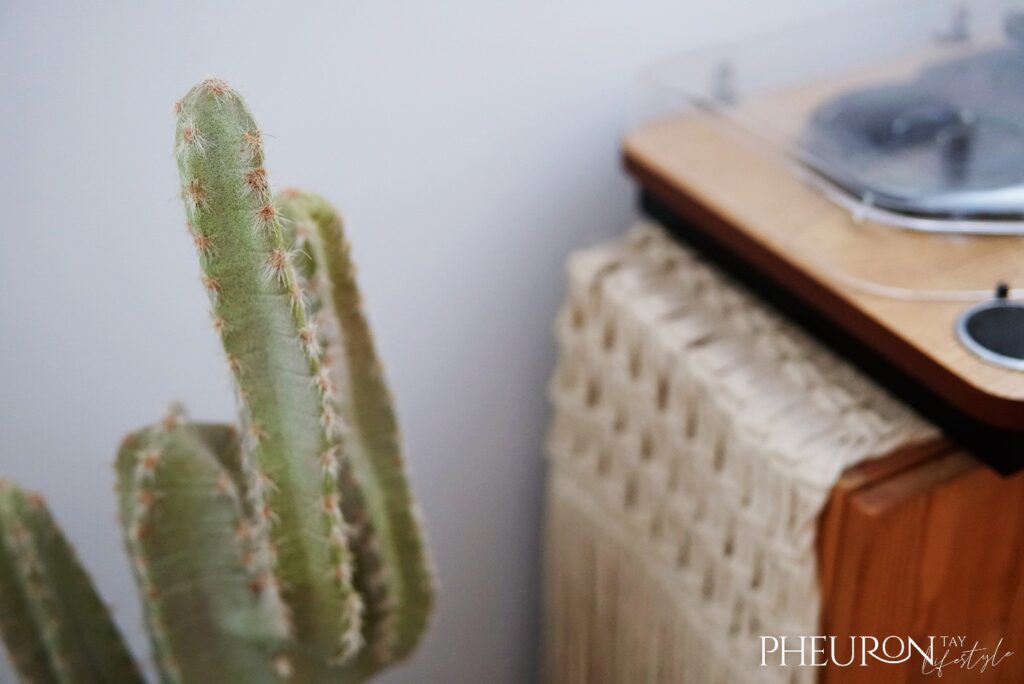 Taobao Haul Artificial Cactus realistic