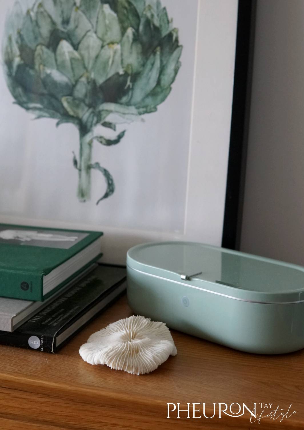 Taobao Haul UV Disinfector 2