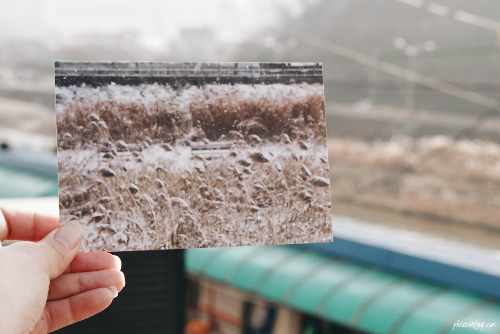 nambu market youth mall jeonju